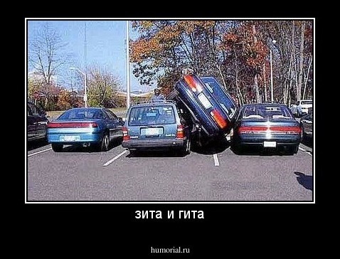 зита и гита