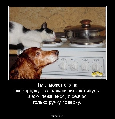 Гм... может его на сковородку... А, зажарится как-нибудь! Лежи-лежи, кися, я сейчас только ручку поверну.