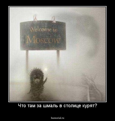 Что там за шмаль в столице курят?