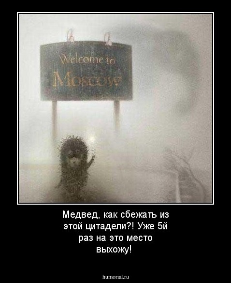 Медвед, как сбежать из этой цитадели?! Уже 5й раз на это место выхожу!