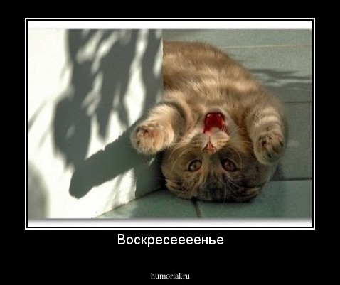 Воскресеееенье