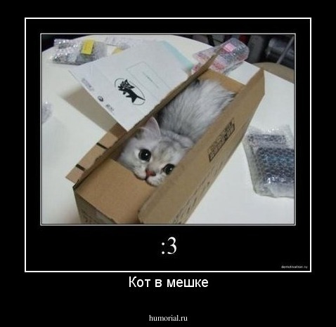 Кот в мешке