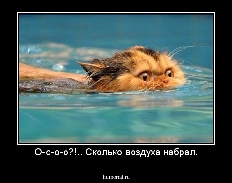 О-о-о-о?!.. Сколько воздуха набрал.