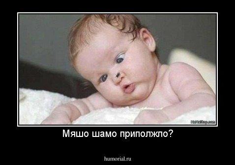 Мяшо шамо приполжло?