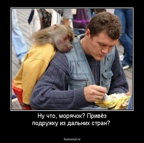 Ну что, морячок? Привёз подружку из дальних стран?