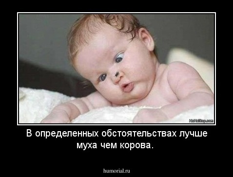 В определенных обстоятельствах лучше муха чем корова.