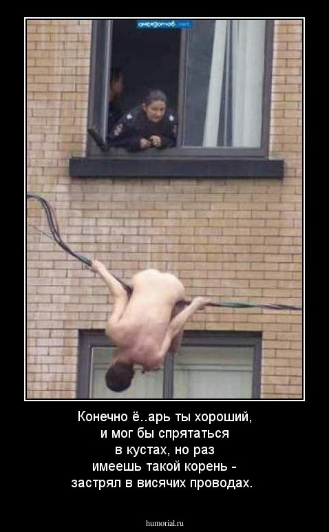 Конечно ё..арь ты хороший,         и мог бы спрятаться в кустах,          но раз имеешь такой корень -         застрял в висячих проводах. 