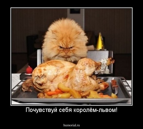 Почувствуй себя королём-львом!