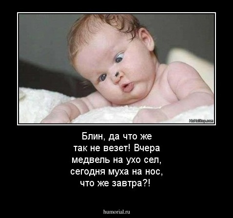 Блин, да что же так не везет! Вчера медвель на ухо сел, сегодня муха на нос, что же завтра?!