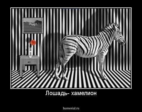 Лошадь- хамелион