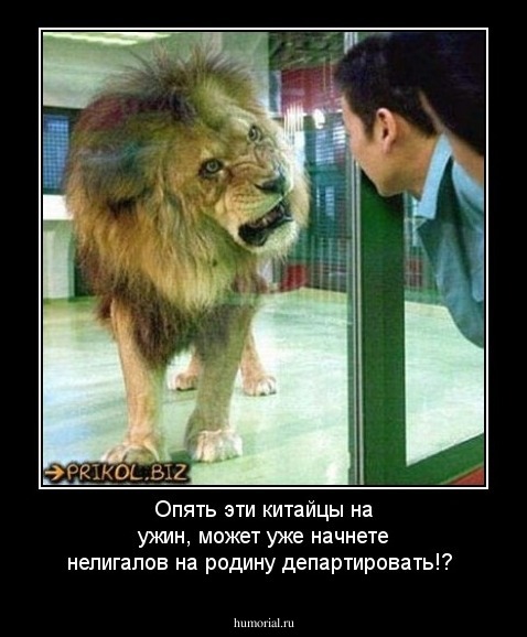 Опять эти китайцы на ужин, может уже начнете нелигалов на родину департировать!?