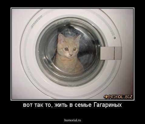 вот так то, жить в семье Гагариных