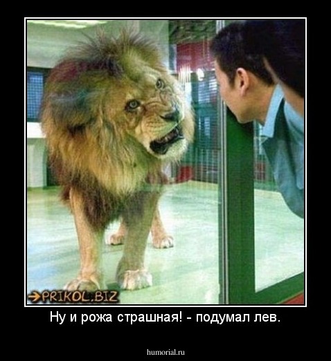 Ну и рожа страшная! - подумал лев.