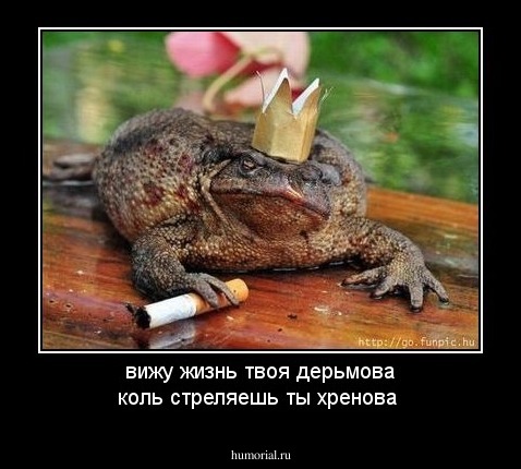 вижу жизнь твоя дерьмова
коль стреляешь ты хренова 
