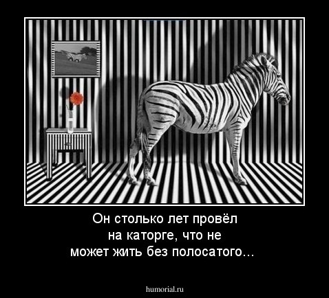 Он столько лет провёл на каторге, что не может жить без полосатого...