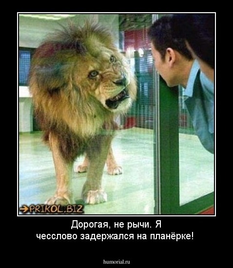 Дорогая, не рычи. Я чесслово задержался на планёрке!