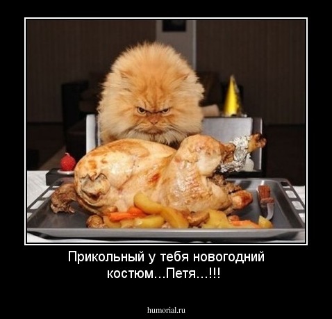 Прикольный у тебя новогодний костюм...Петя...!!! 
