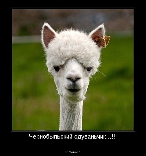Чернобыльский одуваньчик...!!!