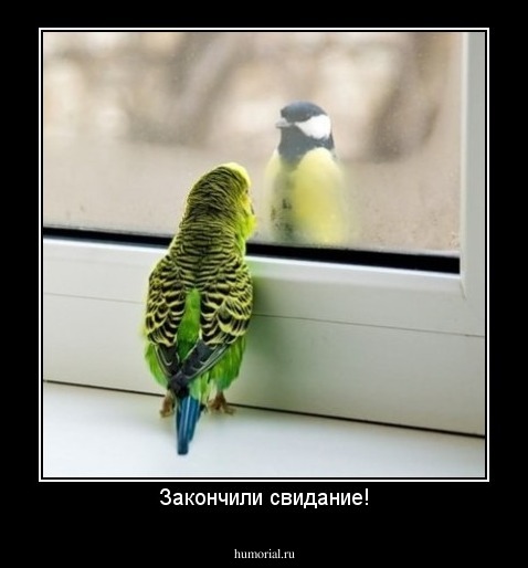 Закончили свидание!