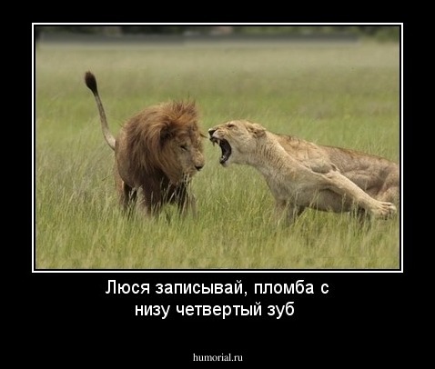 Люся записывай, пломба с низу четвертый зуб