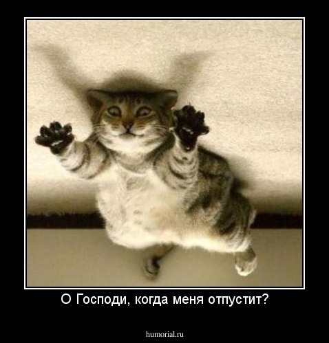 О Господи, когда меня отпустит?