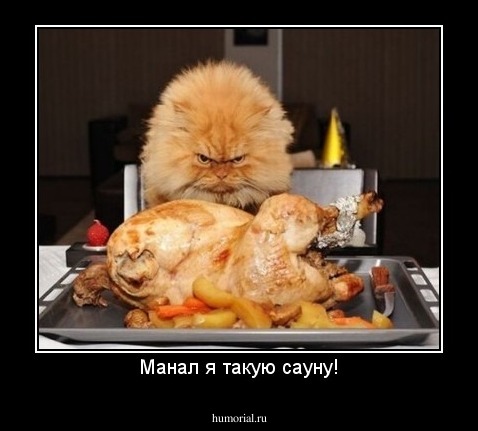 Манал я такую сауну!