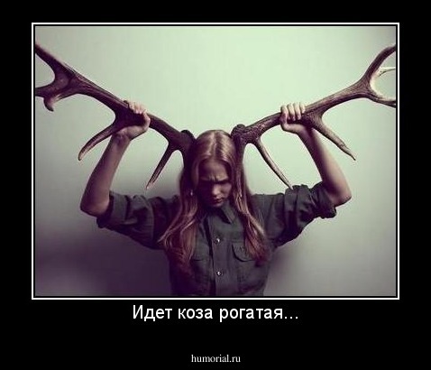 Идет коза рогатая...