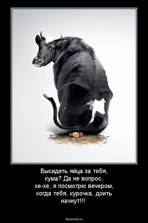 Высидеть яйца за тебя, кума? Да не вопрос, хе-хе, я посмотрю вечером, когда тебя, курочка, доить начнут!!!
