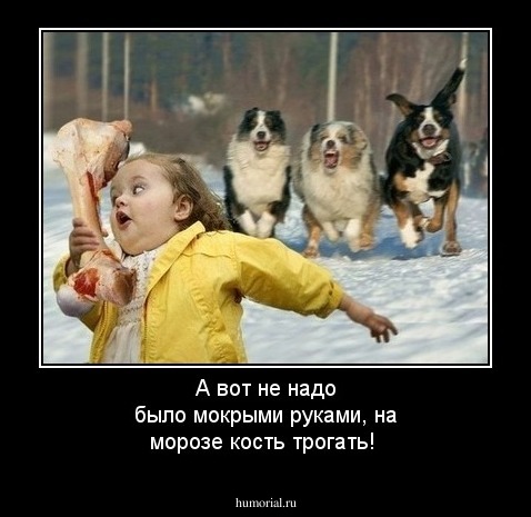 А вот не надо было мокрыми руками, на морозе кость трогать!