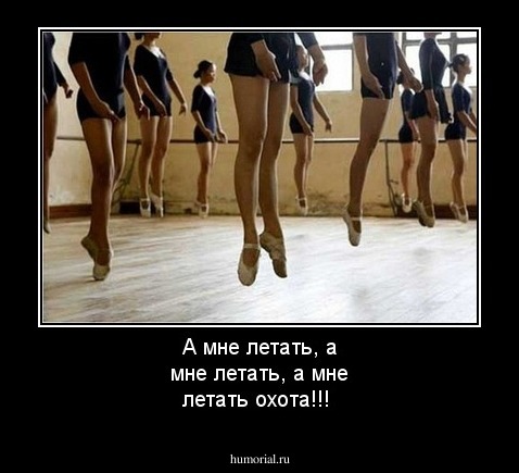 А мне летать, а мне летать, а мне летать охота!!!