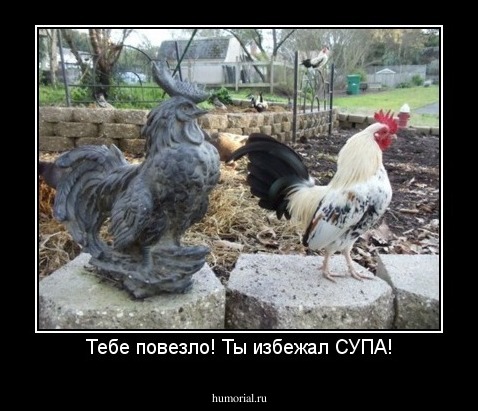 Тебе повезло! Ты избежал СУПА!