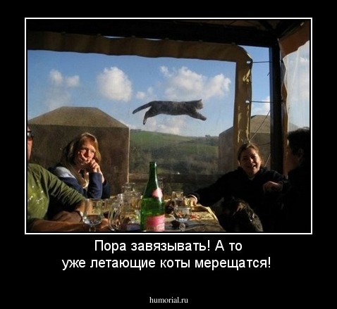 Пора завязывать! А то уже летающие коты мерещатся!