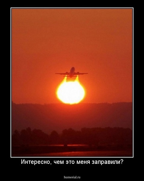 Интересно, чем это меня заправили?