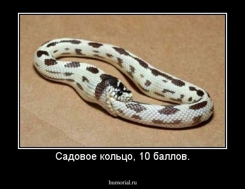 Садовое кольцо, 10 баллов.