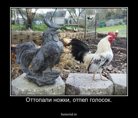Оттопали ножки, отпел голосок.