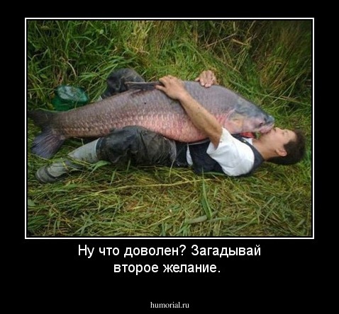 Ну что доволен? Загадывай второе желание.