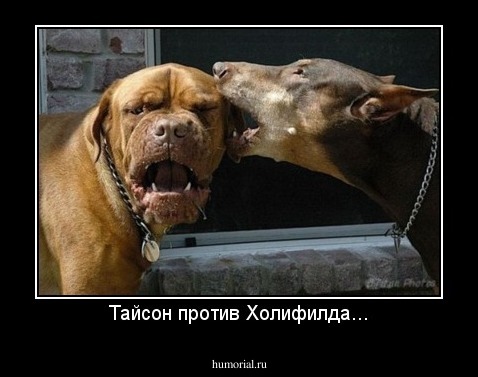 Тайсон против Холифилда...