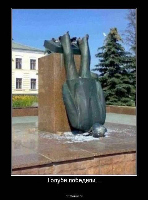 Голуби победили...