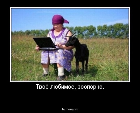 Твоё любимое, зоопорно.
