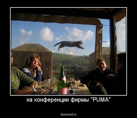 на конференции фирмы "PUMA"