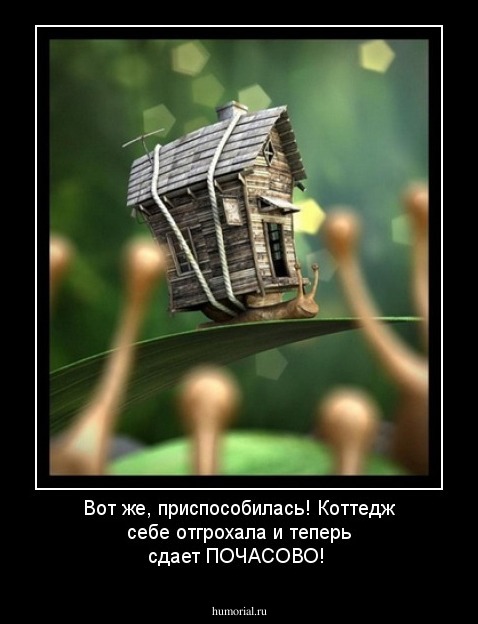 Вот же, приспособилась!  Коттедж себе отгрохала и теперь сдает ПОЧАСОВО!