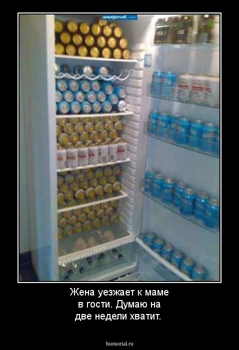 Жена уезжает к маме в гости. Думаю на две недели хватит.
