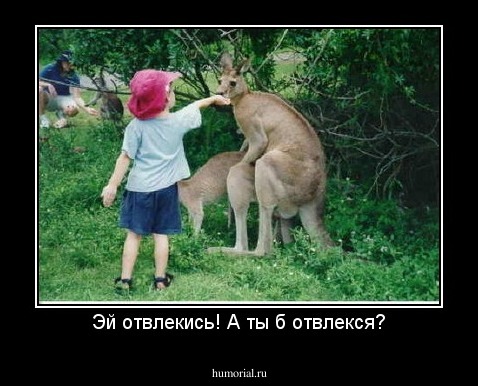 Эй отвлекись! А ты б отвлекся?