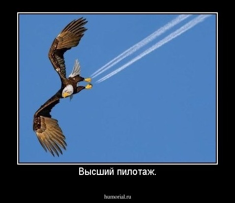 Высший пилотаж.