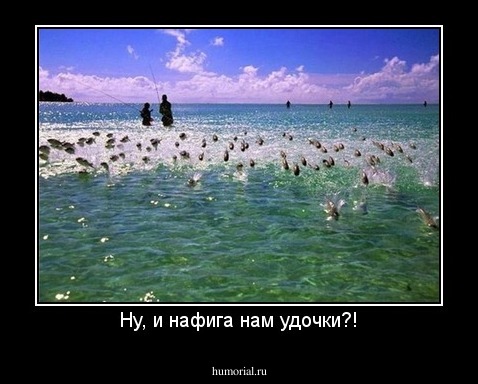 Ну, и нафига нам удочки?!