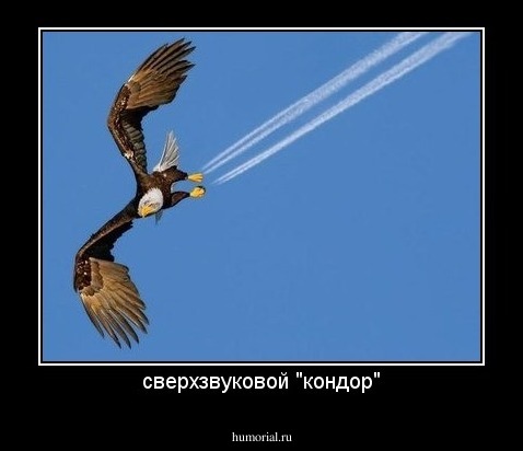 сверхзвуковой "кондор"