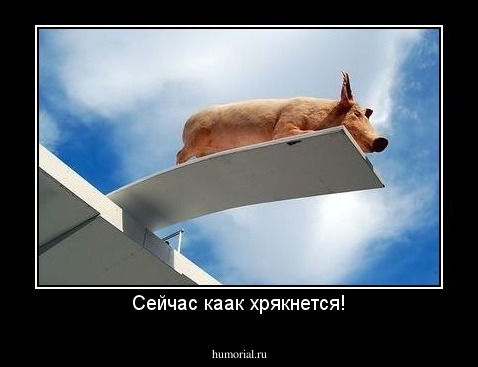 Сейчас каак хрякнется!