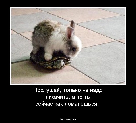 Послушай, только не надо лихачить, а то ты сейчас как ломанешься.