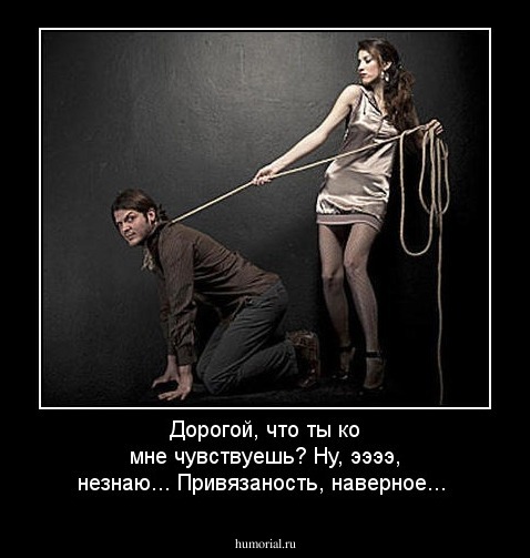 Дорогой, что ты ко мне чувствуешь? Ну, ээээ, незнаю... Привязаность, наверное...