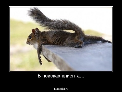 В поисках клиента...